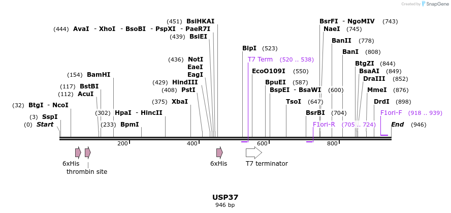 46782_map