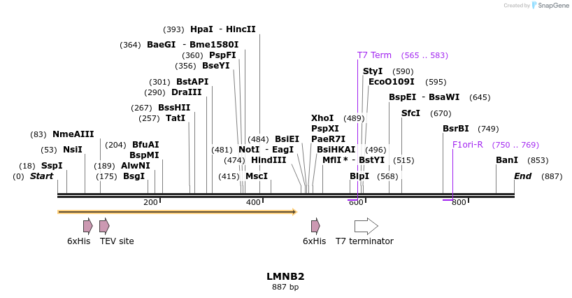 46783_map