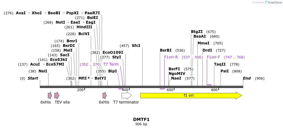 46784_map