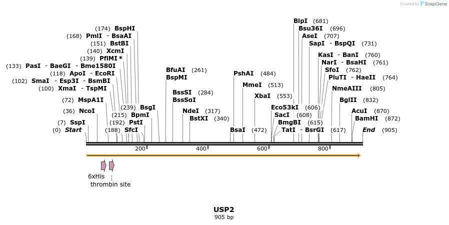 46785_map
