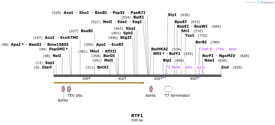 46786_map
