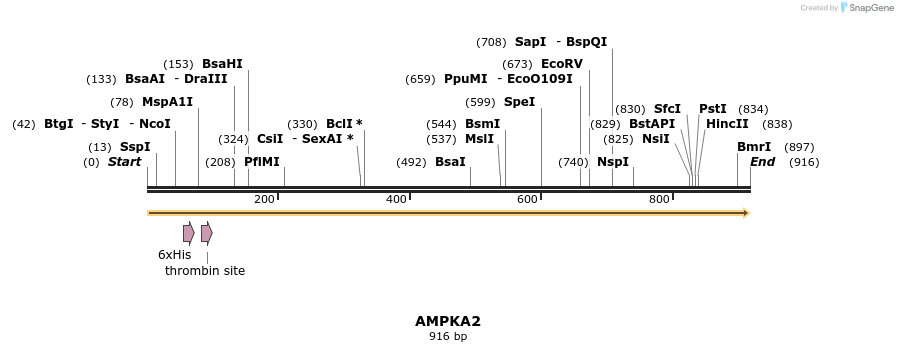 46790_map