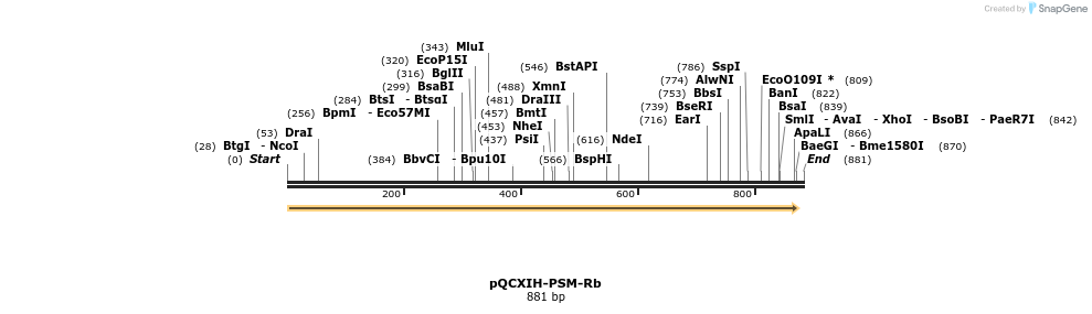 46791_map