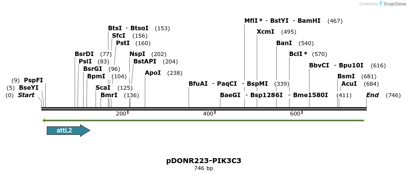 46798_map