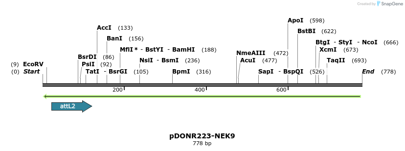 46800_map
