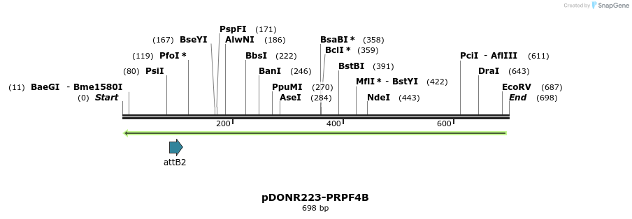 46802_map