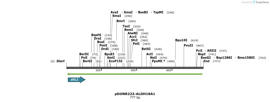 46804_map