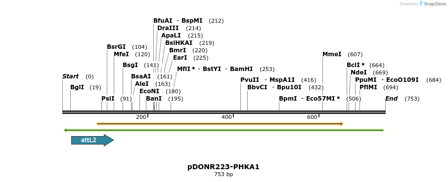 46807_map