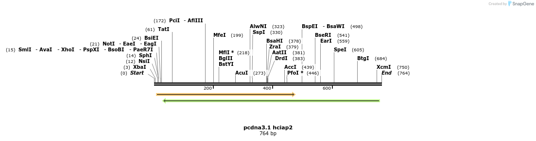 46810_map