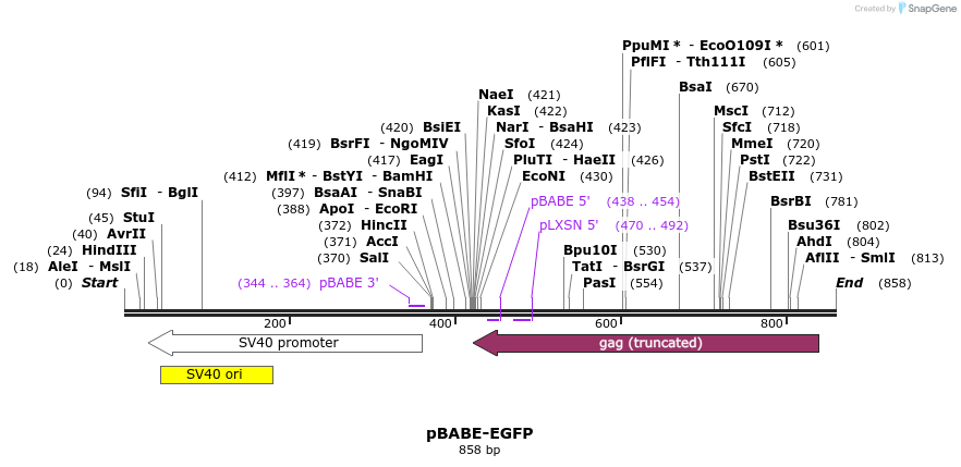 46812_map