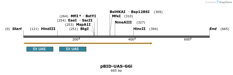 46813_map