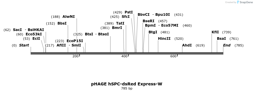 46815_map