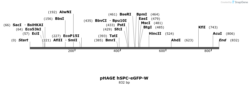 46816_map