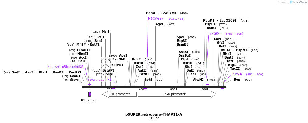 46817_map