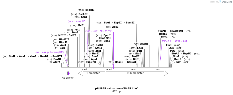 46818_map
