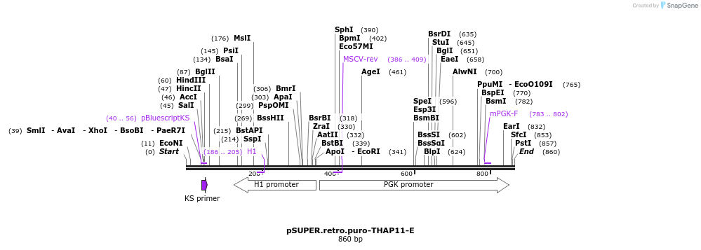 46819_map
