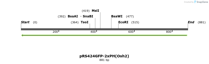46824_map