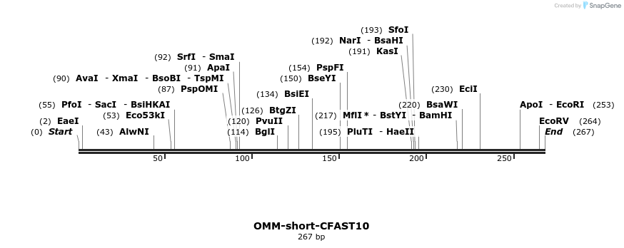 468246_map