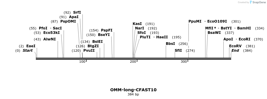 468247_map