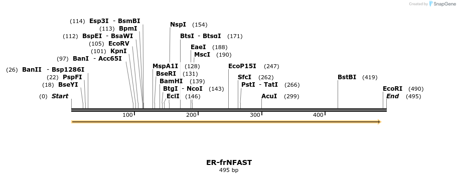 468248_map