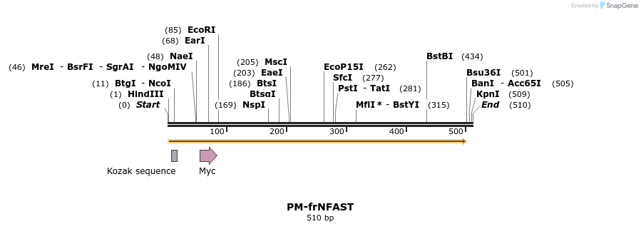 468251_map