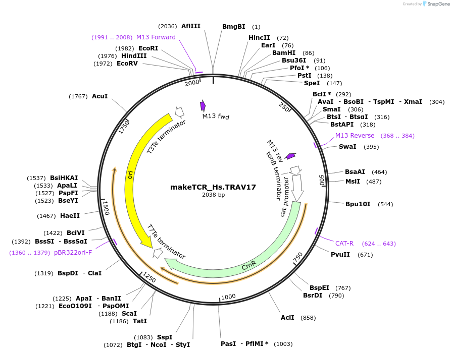 233959-plasmid-map-sequence-id-468285