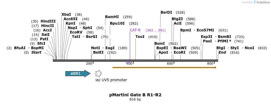 46831_map