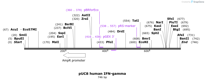 46835_map