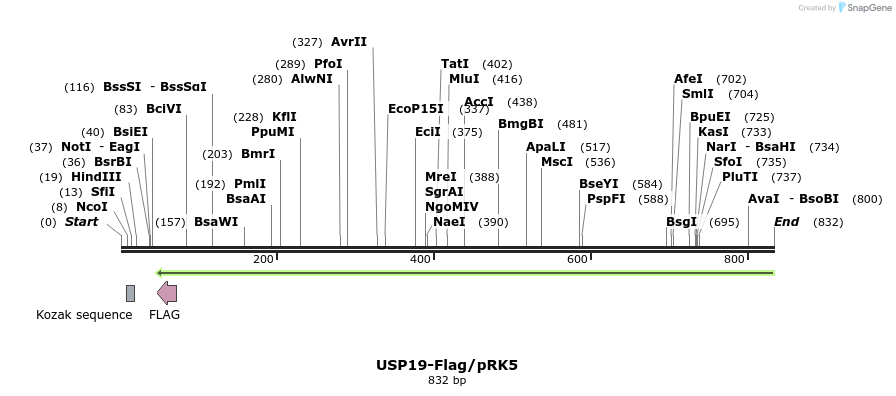 46836_map