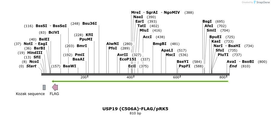 46837_map