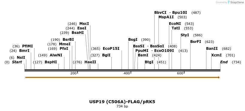 46838_map