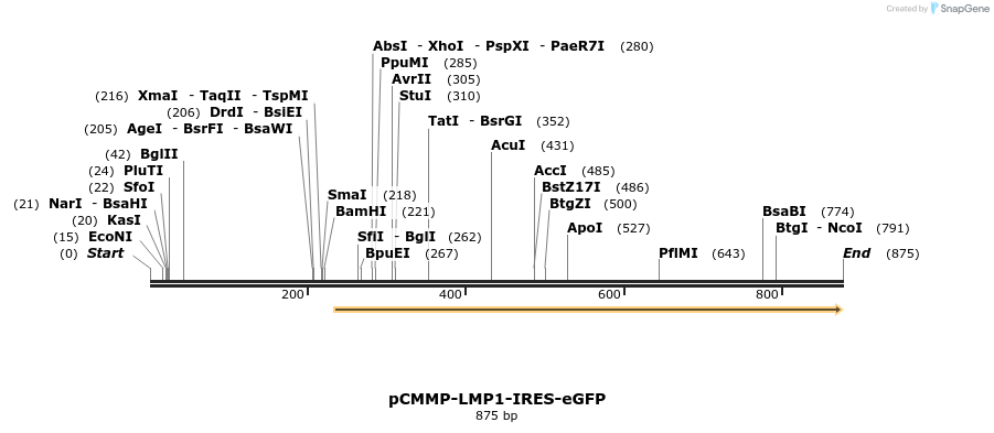 46841_map
