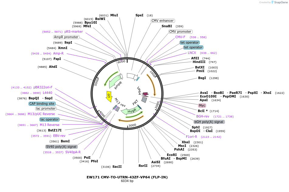 468417_map