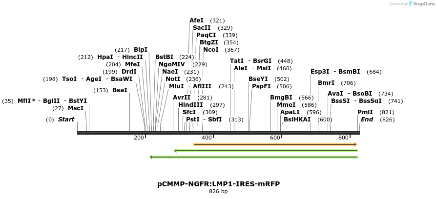 46844_map