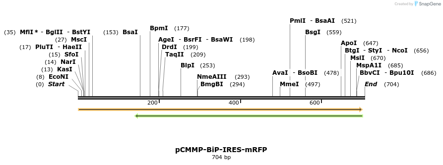 46847_map