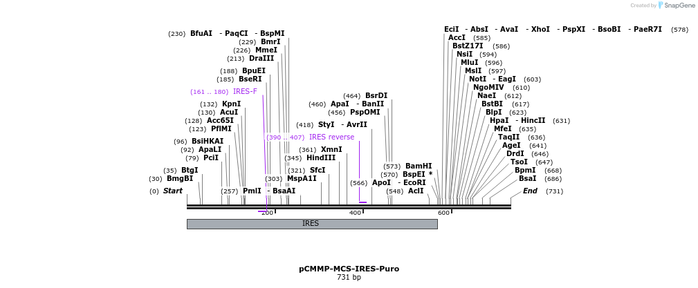 46850_map