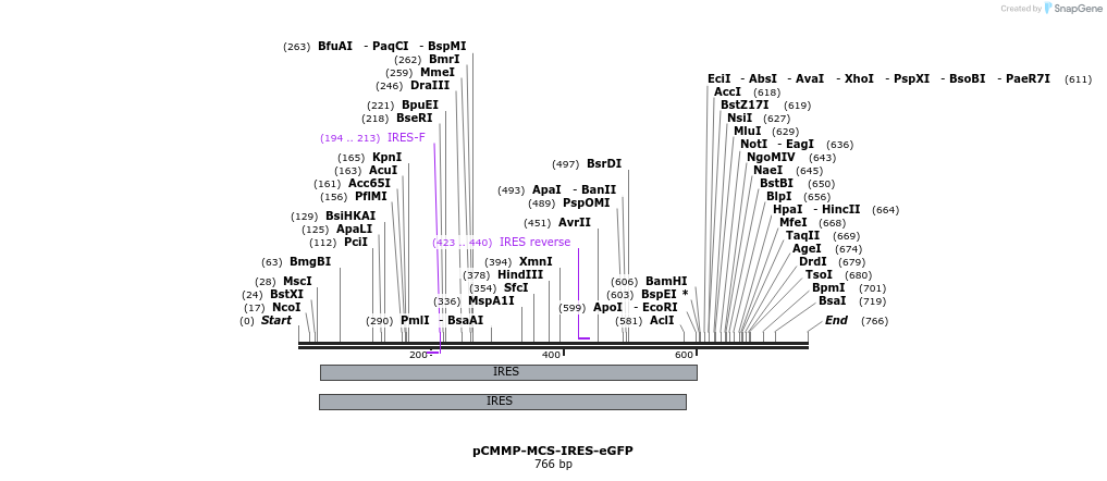 46851_map