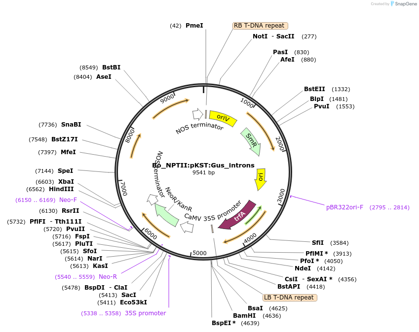 468510_map