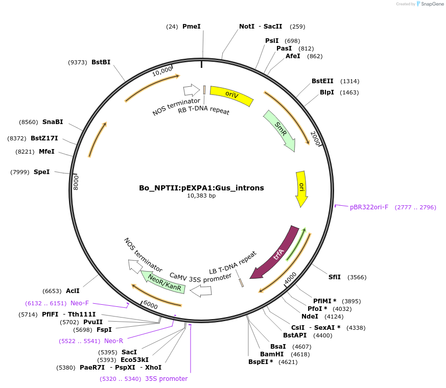 468512_map