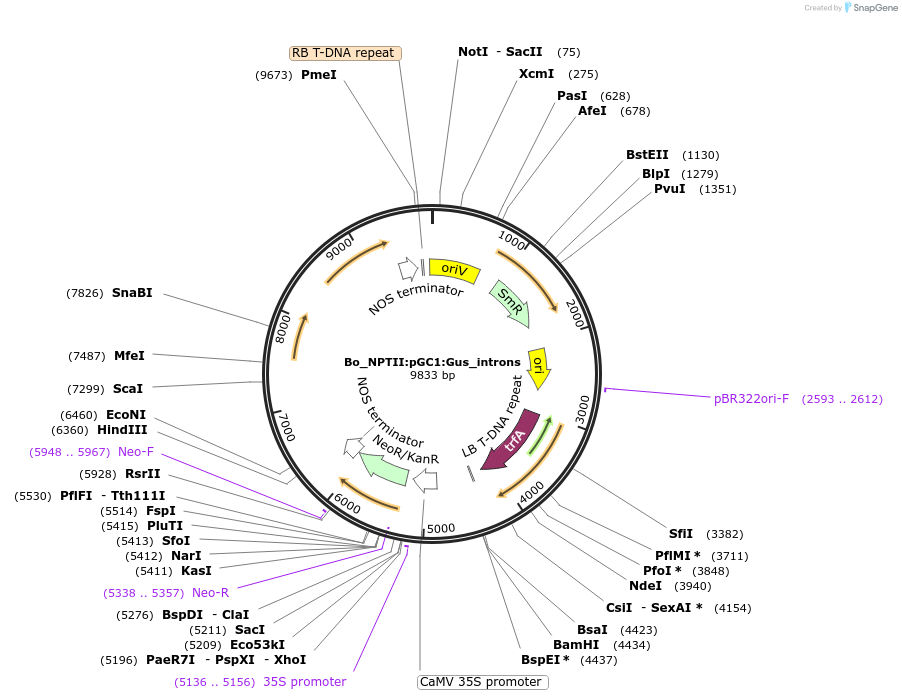 468514_map