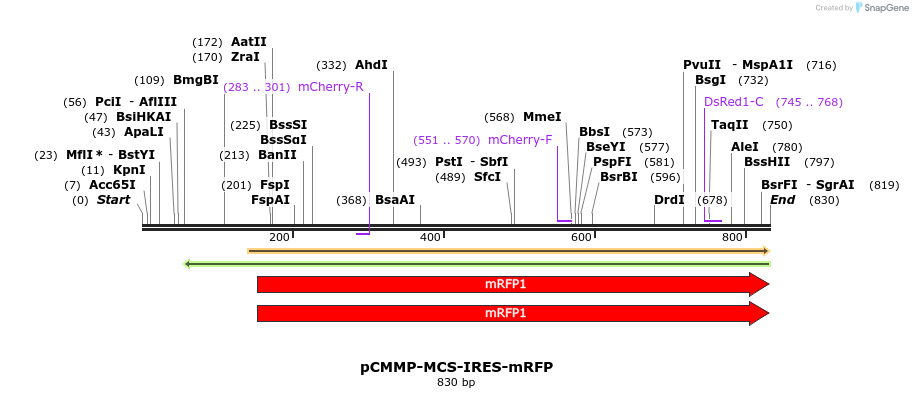 46854_map