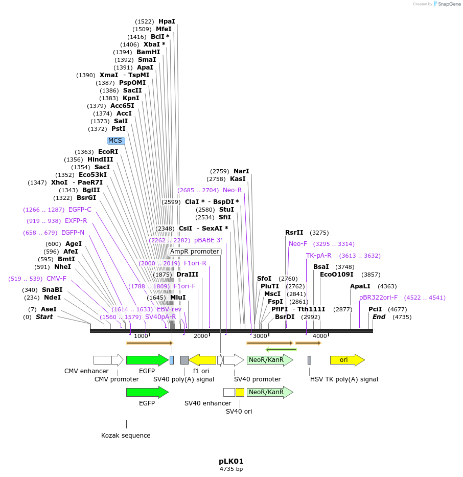 46855_map