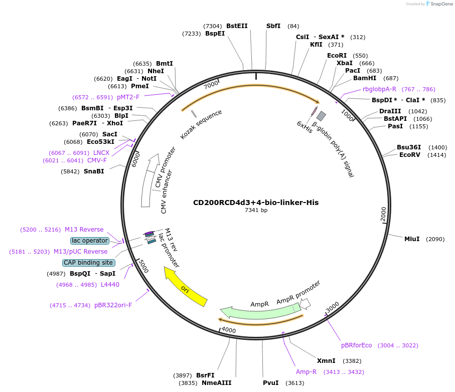 46859_map
