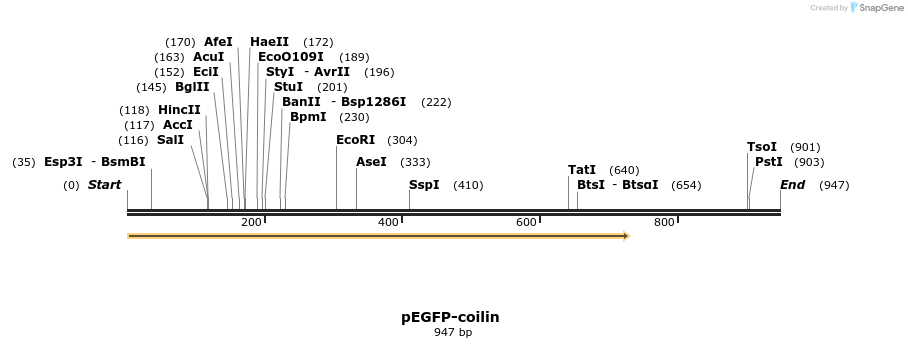 46860_map