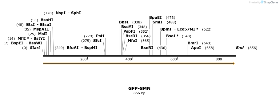 46861_map