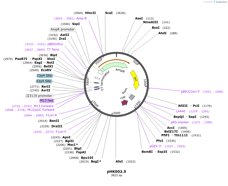 468612_map