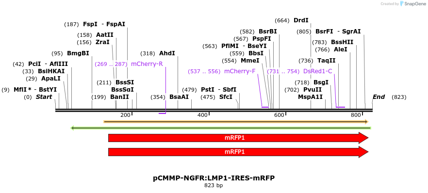 46863_map