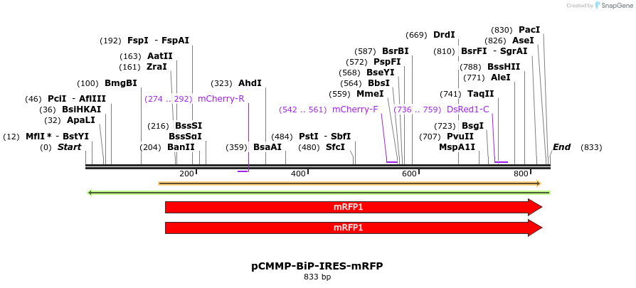 46864_map