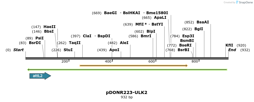 46874_map