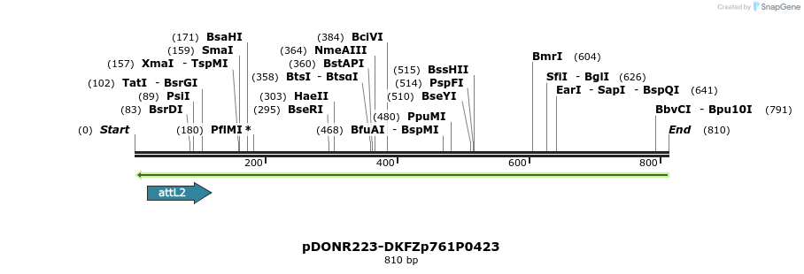 46875_map
